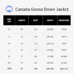 Canada Goose Chilliwack SS23 Grey - Image 2