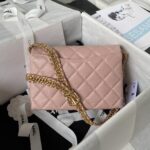 Chanel 23S Underarm Bag AS3994, Top Quality Size:10cm - Image 2
