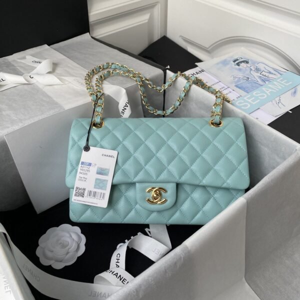 Chanel Classic Flap Bag A01113, Top Quality, Mediu Size: 23cm