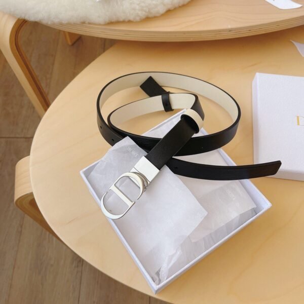Dior Ladies Belt