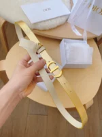 Dior Ladies Belt - Image 4