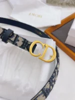 Dior Ladies Belt - Image 6