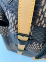 Louis Vuitton Mediu Size: men??s matching colored backpack M4035 Size: 38*44*21cm - Image 7
