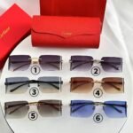 Cartier sunglasses
