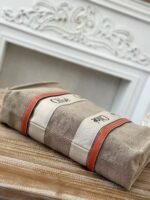 Chloe Woody linen pure cotton canvas and glossy small dough, orange casual bag Larg Size: 45*33*13c - Image 4