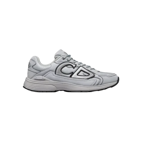 Dior B30 Reflective Grey