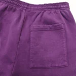 Sp5der Classic pant 'Grape' - Image 5
