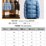 M*NCLER Citala Down Jacket - Image 2