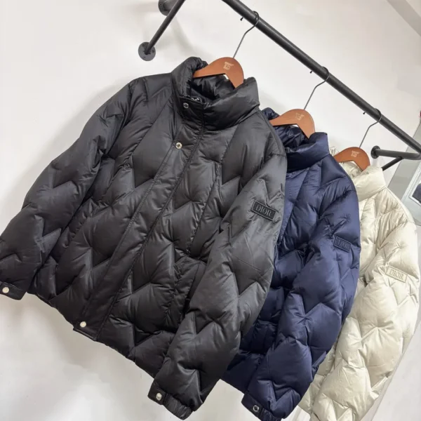 Dior stand collar down jacket