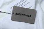 Balenciaga 25ss Sunflower Textured Seam-Sealed Short-Sleeve T-Shirt - Image 9