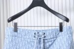 Dior Green Webbing Drawstring Shorts Purple - Image 3