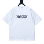 Dior New Distressed Patch Letter Embroidery T-Shirt