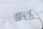 Dior New Distressed Patch Letter Embroidery T-Shirt - Image 13